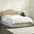 Regil Upholstered Headboard-19523405-19523408