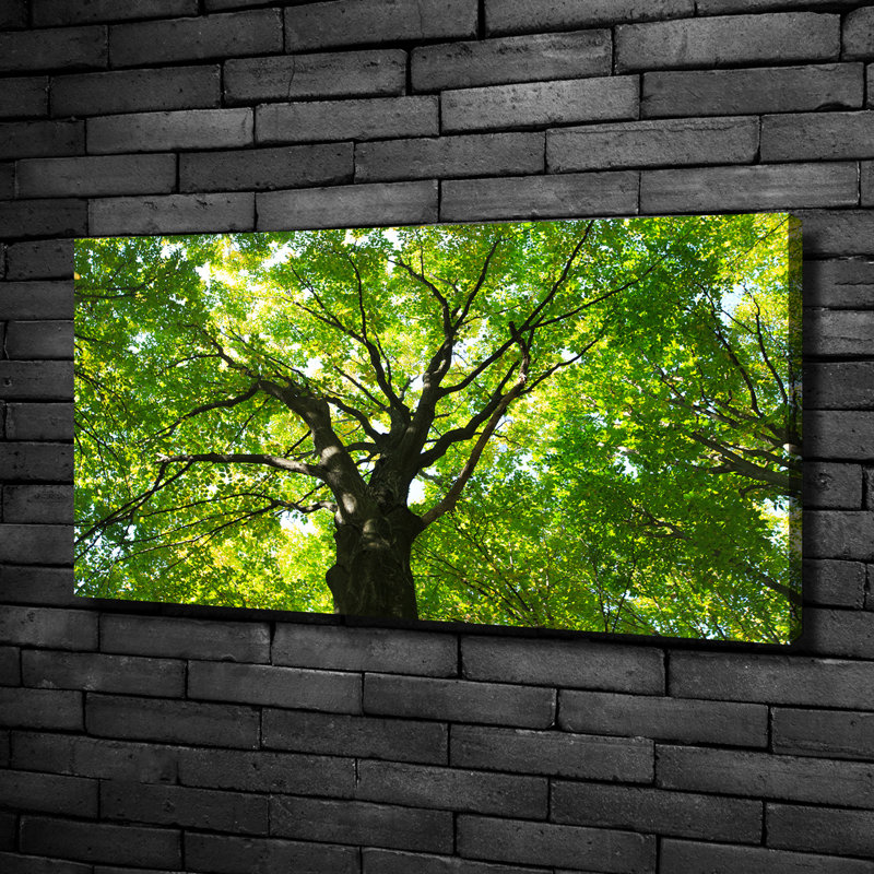 Green Forest - Print, Canvas, 50cm H x 100cm W
