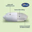 Silentnight Sink In Anti Allergy Memory Foam Shell Pillows