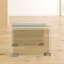 Taniya Sled Coffee Table