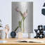 «Light Tulips IV» par Debra Van Swearingen-1606641091