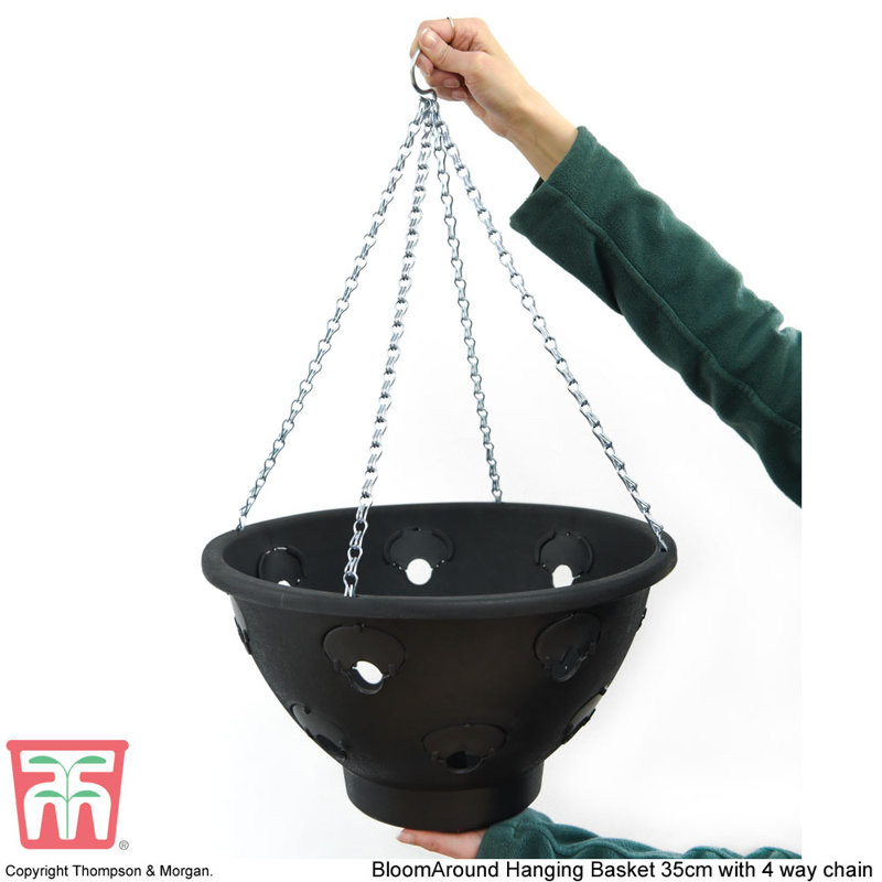 Dunrobin Hanging Basket (x2)