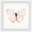 «Translucent Pink Wings» par Abdirazaq, reproduction d'aquarelle encadrée-1315197338