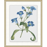 Floral Study 9 Print