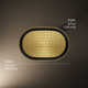 Statement™ 1.75 GPM Oblong 12 in. Rainhead with Katalyst Air-Induction Technology