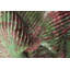 Tapis Embrace Nature's Palette with Our Earthy