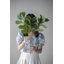 Collection Home Decor (comprend une plante artificielle, un vase, des plateaux, un tabouret et une table d'appoint)