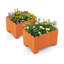 Raised Garden Bed