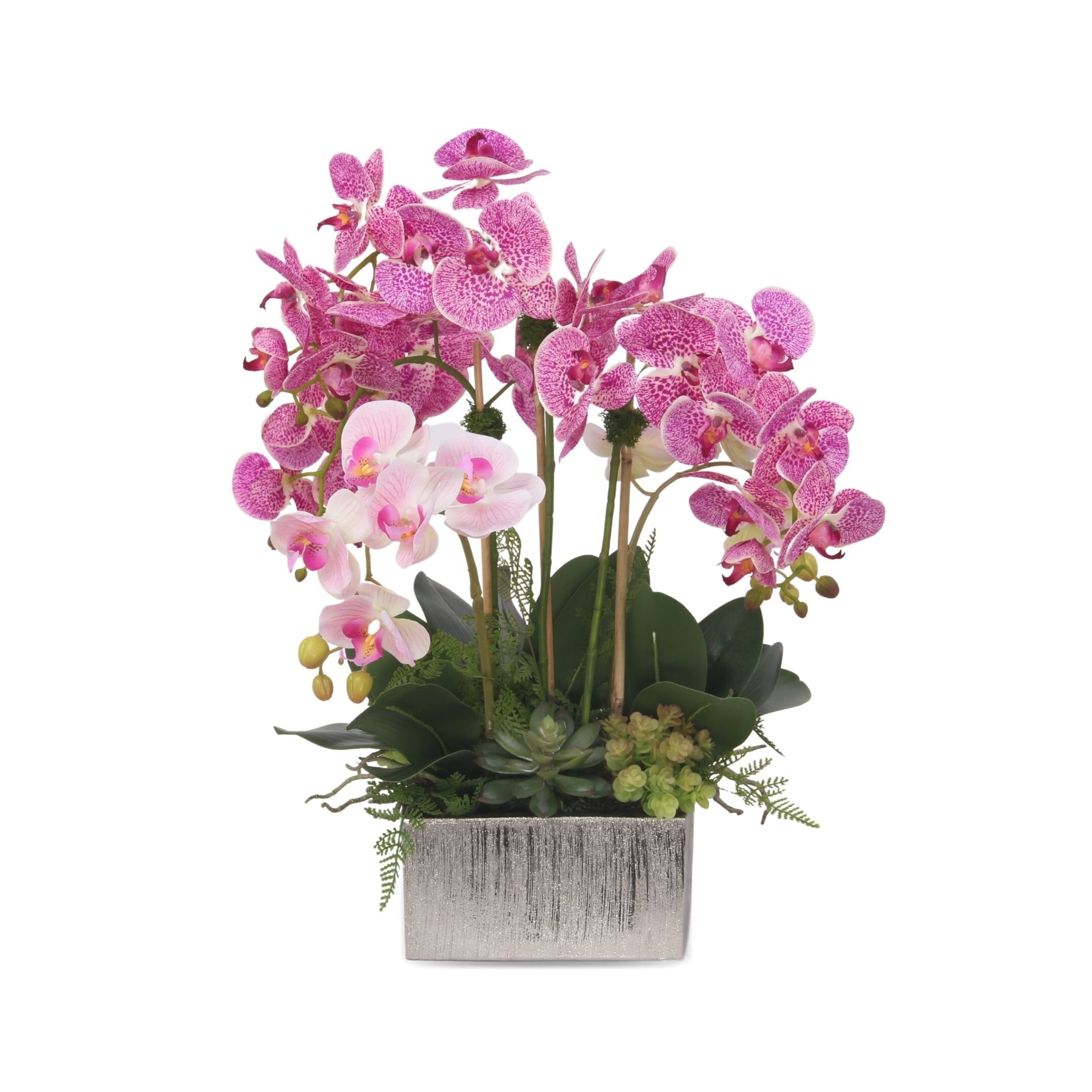 JennySilks Silk Orchid Arrangement in Pot | Wayfair