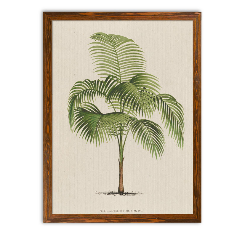 «Les Palmiers I» par Paul Cezanne - reproduction d'art encadrée, H 22 po x l 30 po x P 1 po, Toile encadrée, érable