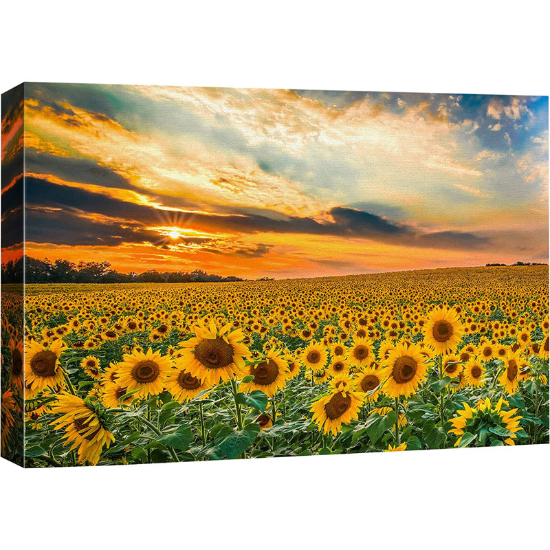 Sunflower " Summer Sunflower Field Sunset ", 32" H x 48" W x 1.5" D