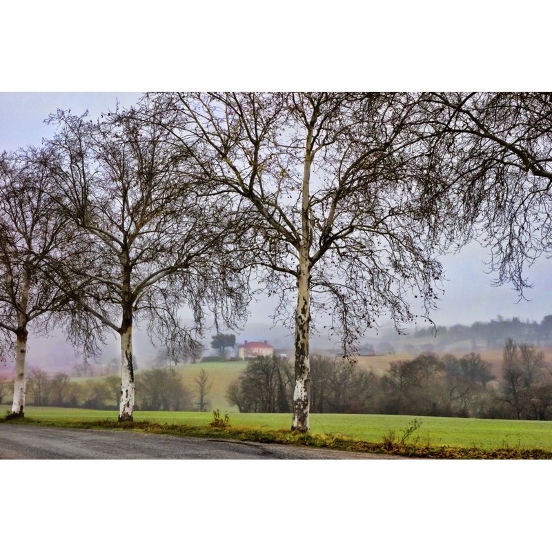 Pastoral Countryside XI by Colby Chester - Photograph Print, 30cm H x 46cm W, Wrapped Canvas