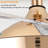 Ellysha 42'' Ceiling Fan with LED Lights