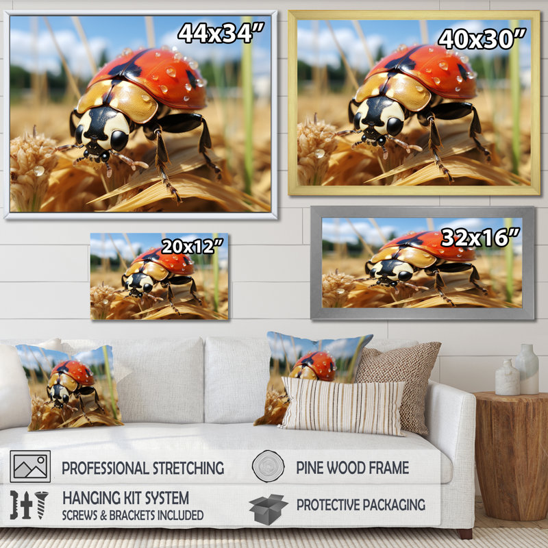 Curious Ladybug Meadows - art de coccinelle, Cadre d'angle fermé noir, H 34 po x l 44 po x P 1,5 po