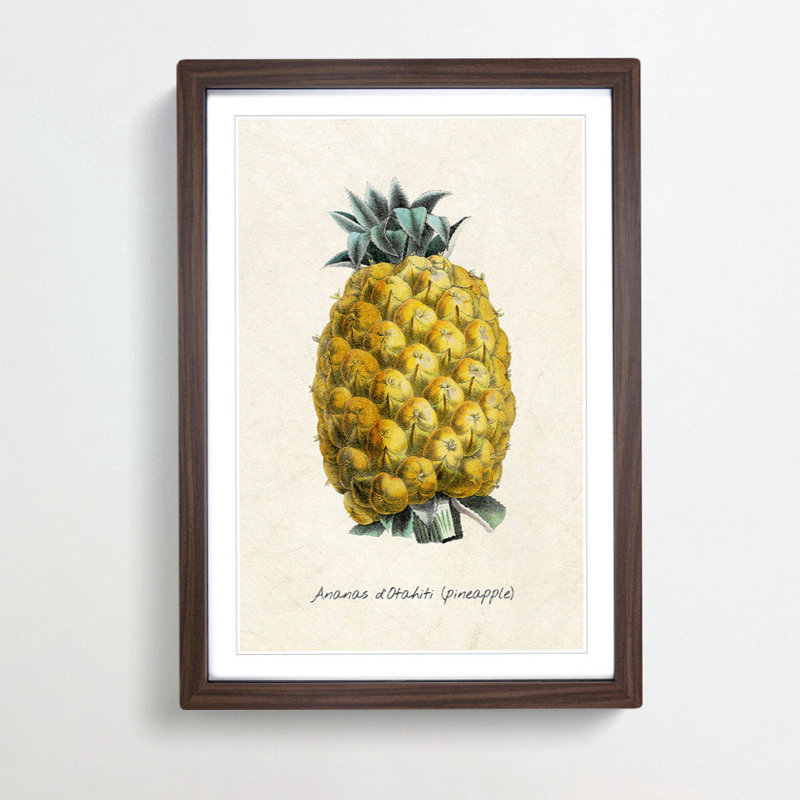 Illustration of a Pineapple - Framed Print, 36cm H x 27cm W x 2cm D, Walnut Framed