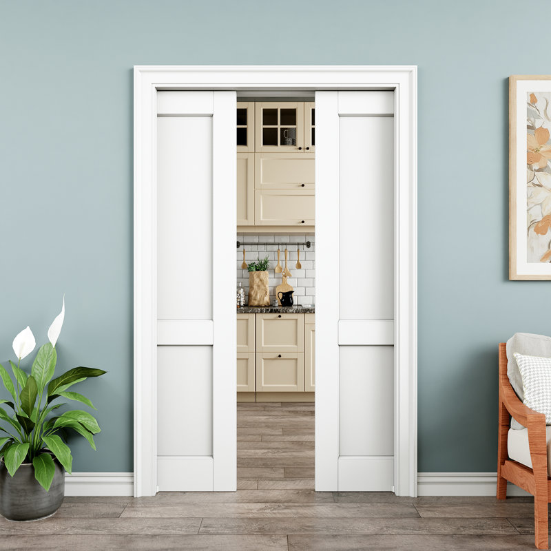 Porte double à double porte 48 po x 80 po à 2 panneaux intérieurs, plaque de porte à âme solide, pouvant être peinte et imperméable, comme portes de buanderie, portes de placard, portes de pièce