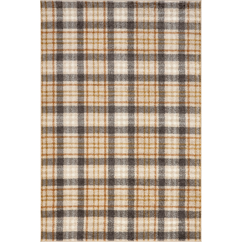 Kalila Retro Plaid Area Rug, Rectangle 4' x 6'