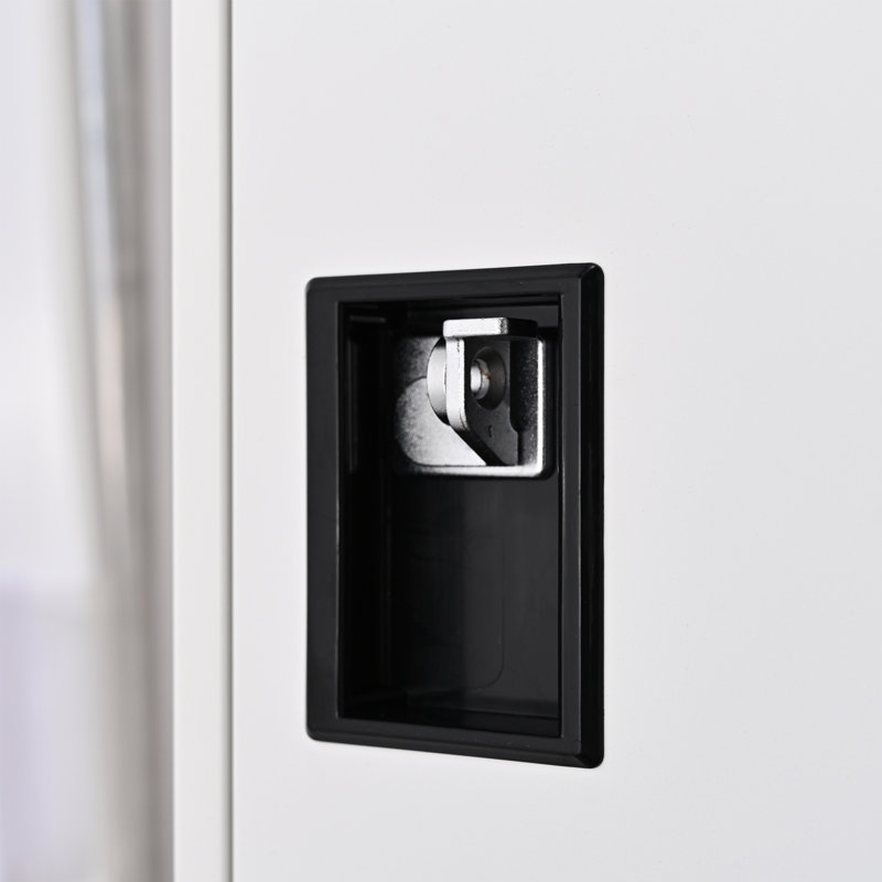 2 -Door Storage Cabinet