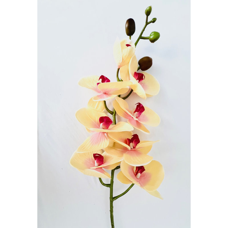 Phalaenopsis artificiel à 9 têtes Real Touch en latex orchidée - 3 tiges / jaune, Jaune