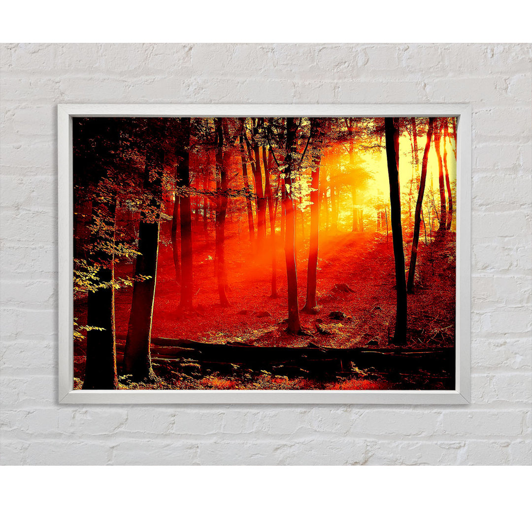 Red Woodland Beam - Einzelner Bilderrahmen Kunstdrucke auf Leinwand