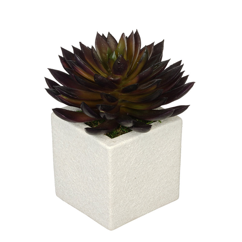 Plante echeveria à pointe artificielle dans un pot de fleurs, blanc, Bourgogne