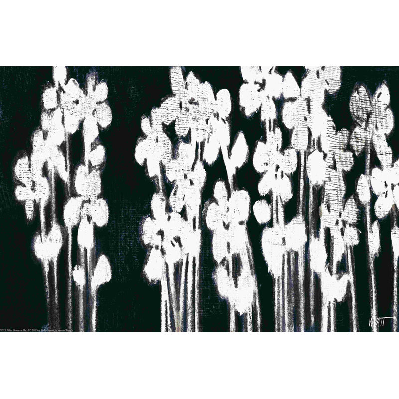 Fleurs blanches sur fond noir I, H 20 po x l 30 po