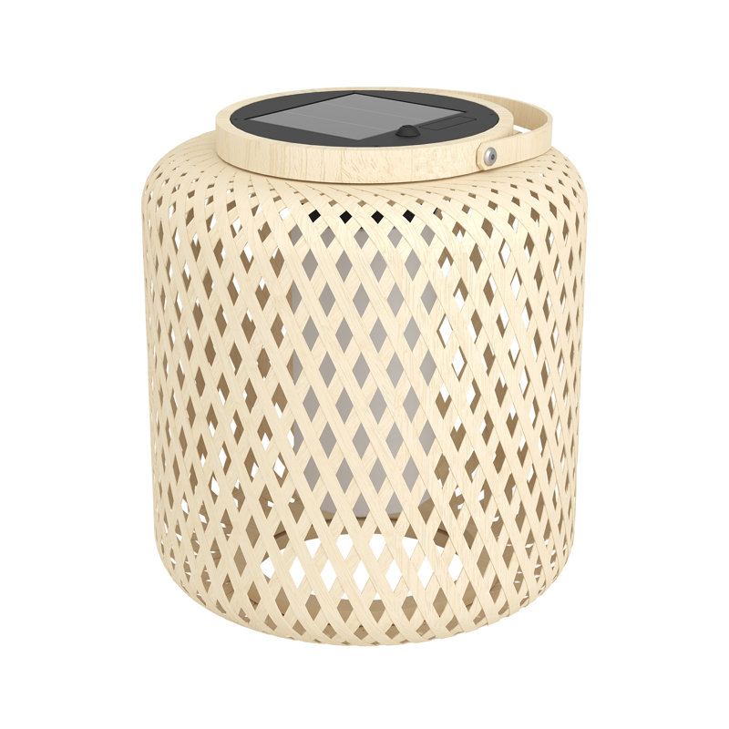 Ellasyn Stainless Steel Novelty Lamp