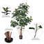 Solerno Faux Tree in Pot Liner-711947424