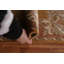 Tapis oriental en laine népalais noué à la main 2 pi 2 po x 3 pi 10 po