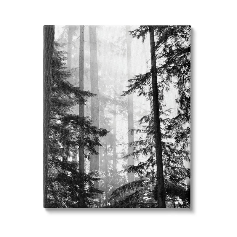 «Forest Light Shining Through Tall Trees», photographie de paysage surdimensionnée sur toile tendue par Gail Peck