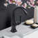 Lulani Aurora Single Hole Bathroom Faucet with Drain Assembly