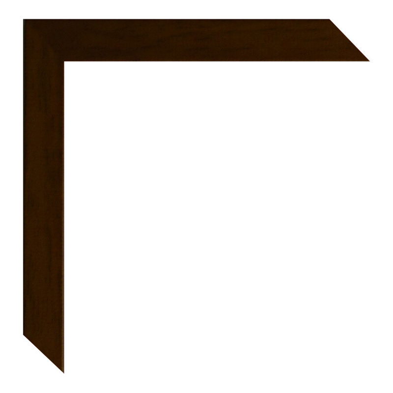 Lamisha Wood Picture Frame with Mat, Dark Brown