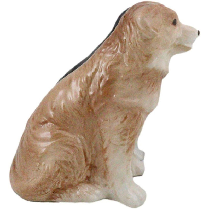 Chien de berger noir et brun