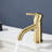 Topcraft Modern Single Handle Bathroom Sink Faucet Brushed Gold-90655415