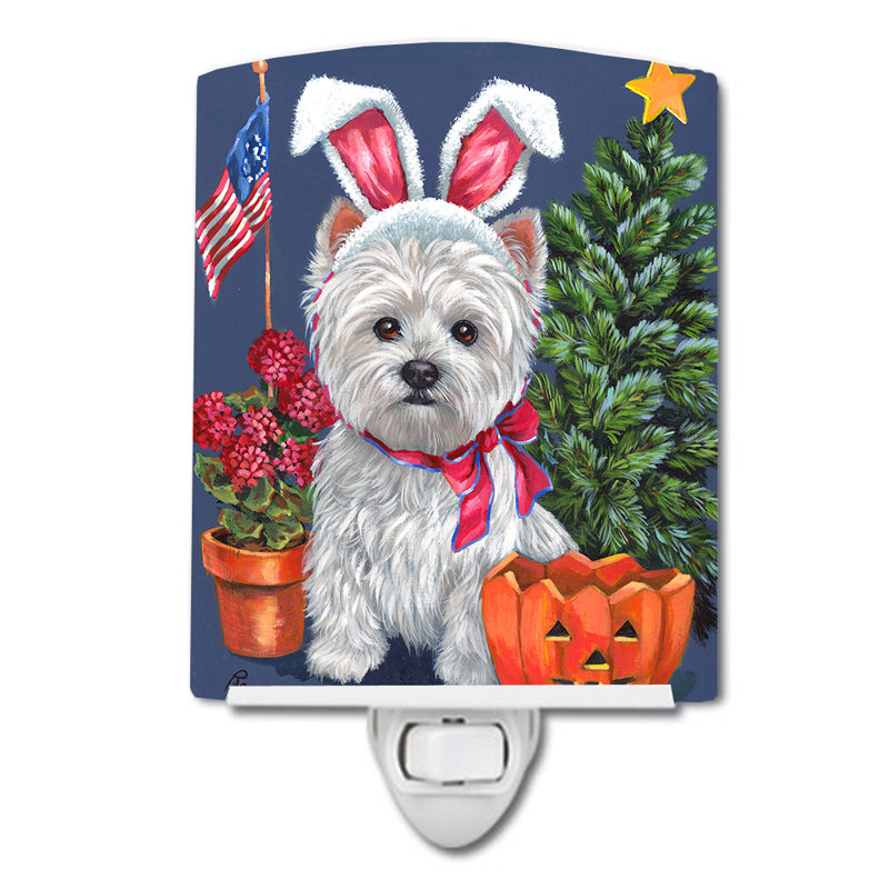 Veilleuse Westie, Westie toutes saisons