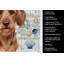 Serviette de cuisine Wirehaired Red Dachshund-1209194246