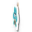 Gruia Wall Decor
