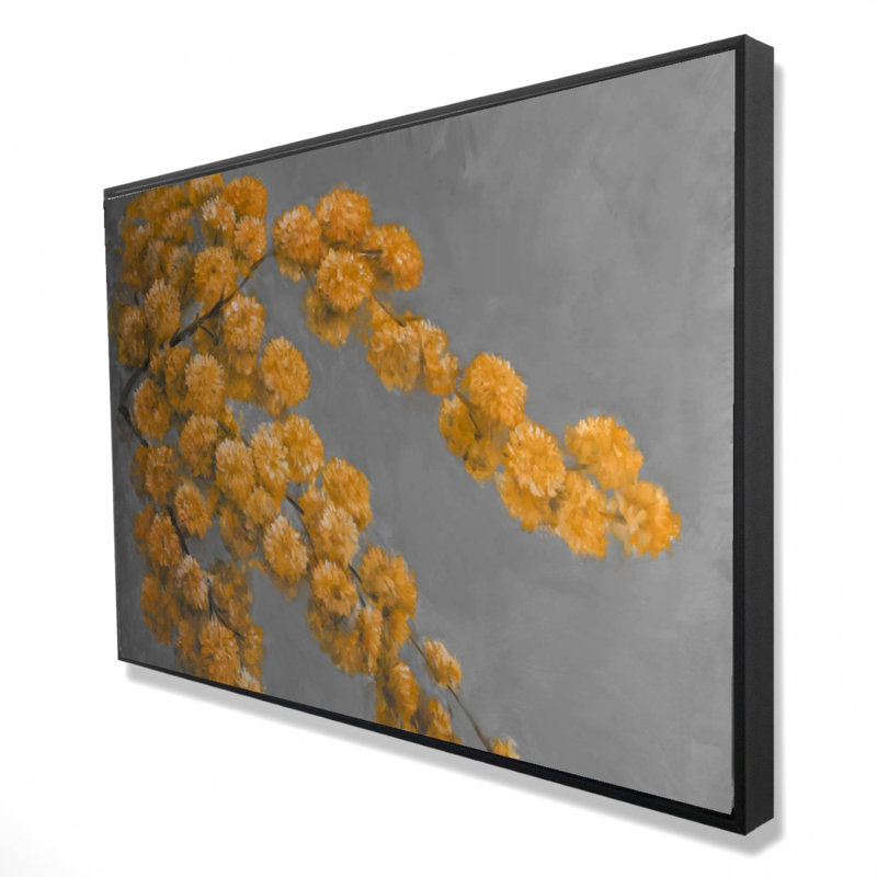 " Golden Wattle Plant "