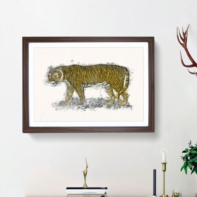 Vintage Tiger Illustration - Picture Frame Painting Print