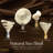 Natural Seashell Lamp Finial-36759293