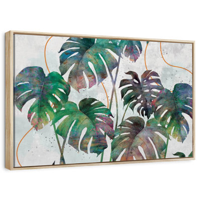 Feuilles de Monstera