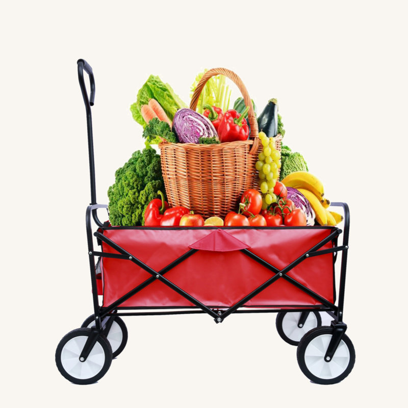 Folding Wagon Garden Shopping Beach Cart