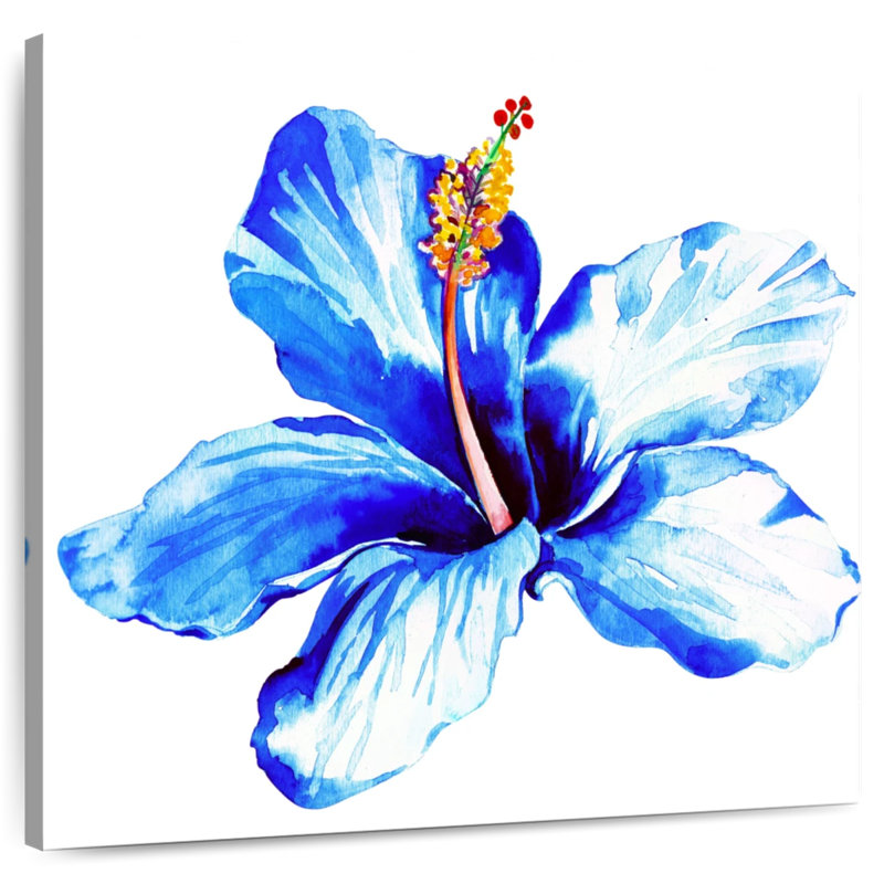 Harnek Vibrant Blue Hibiscus