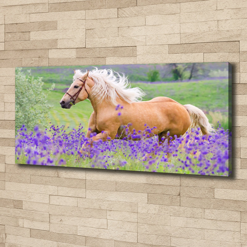 Horse On The Lavender Field - Wrapped Canvas Print