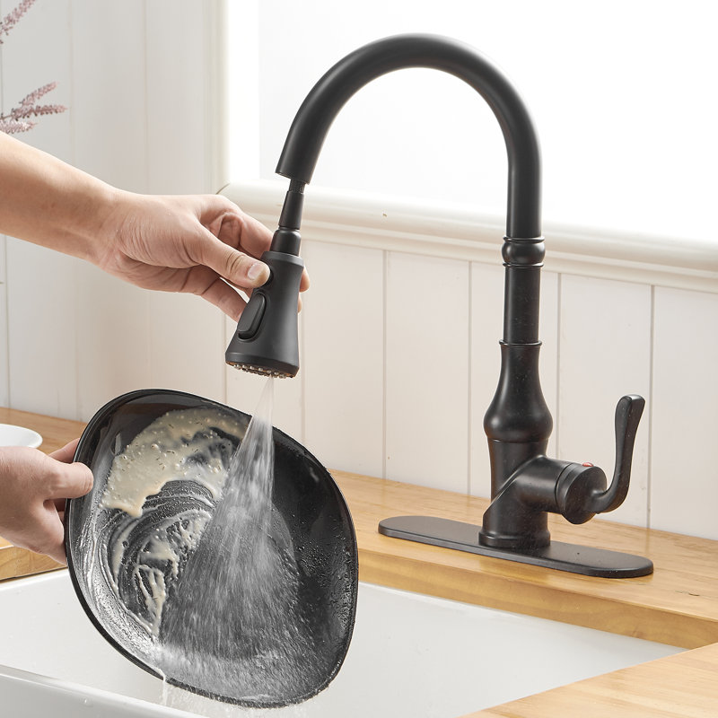VIBRANTBATH Kitchen Faucet, Black, 2 GPM