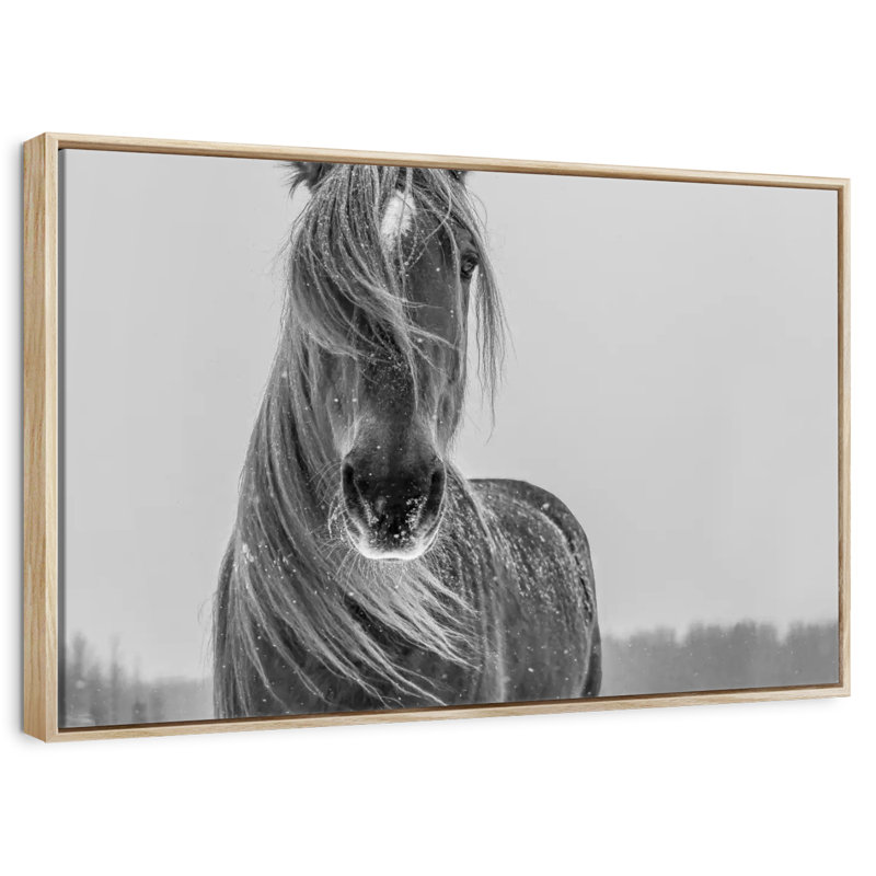 Cheval d'hiver, Cadre flottant en bois naturel, 19 po x 13 po