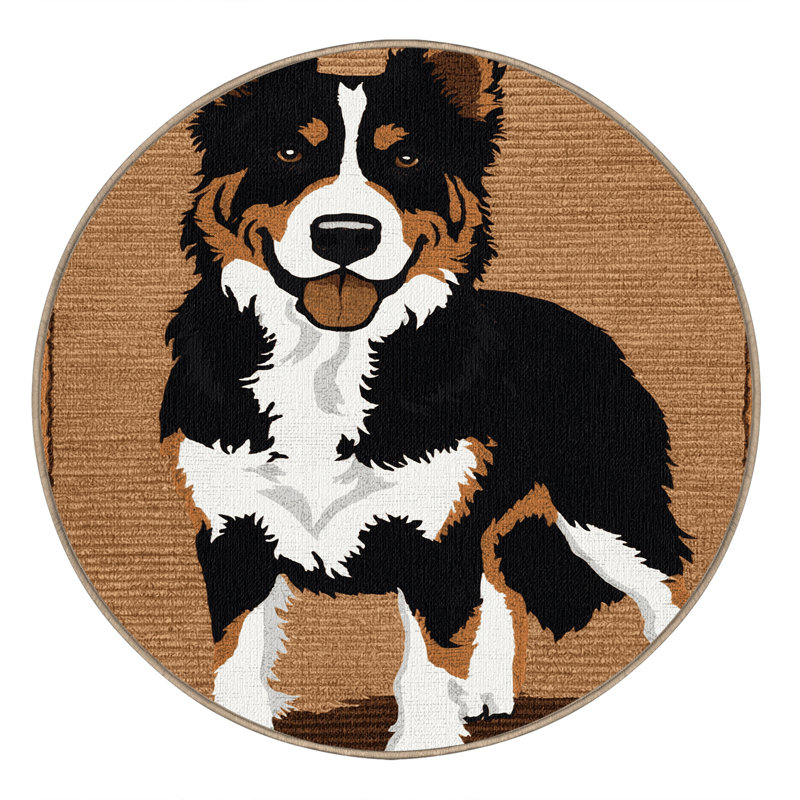  Tapis lavable pour chien de montagne suisse, Rond 4 pi