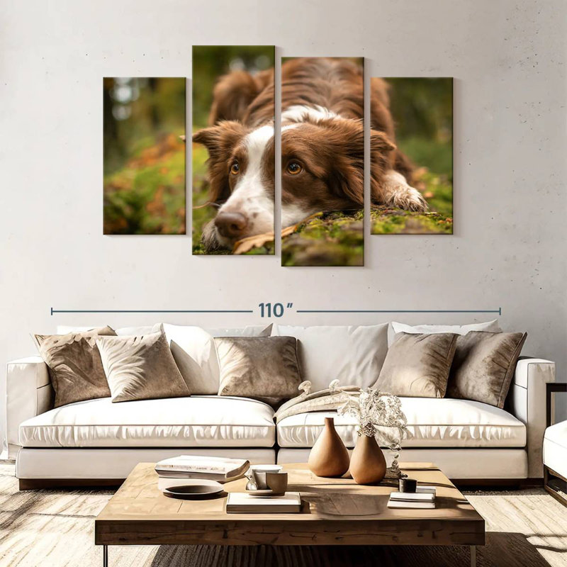 Brampt Lovable Border Collie
