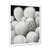 White Single Picture Framed