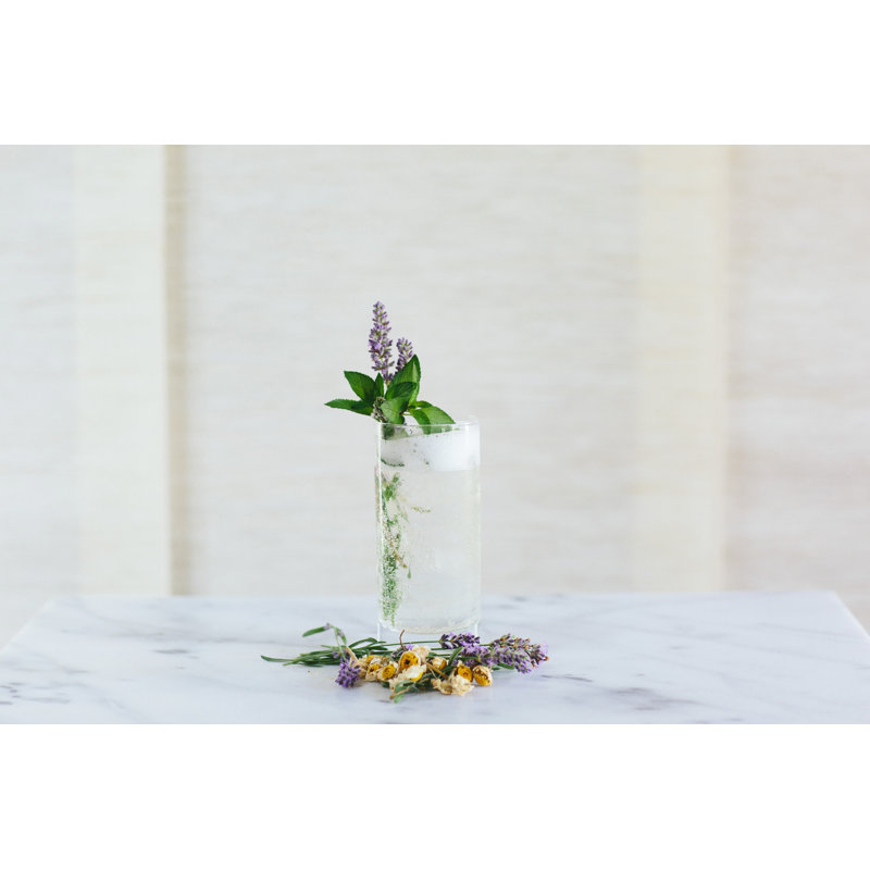 Crafthouse Signature Collection Highball Glass